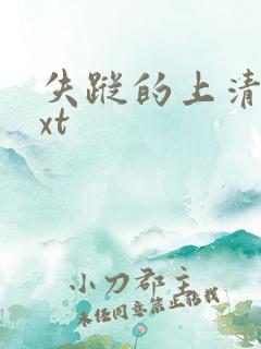 失踪的上清寺txt