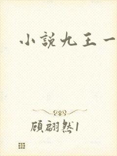 小说九王一后