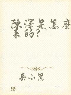 陈泽是怎么火起来的?