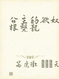 公主的欲奴h四根双龙