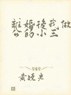 离婚后我做了老公的小三