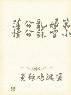 荡公乱妇第1章情公苏雪小说