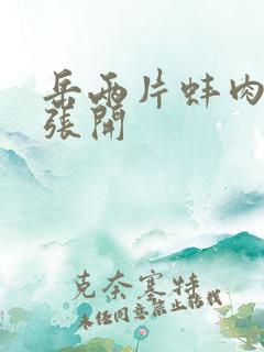 岳两片蚌肉缓缓张开