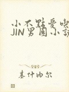小不点爱吃肉混JIN男团小说