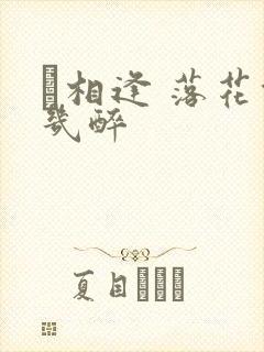 囍相逢 落花能几醉