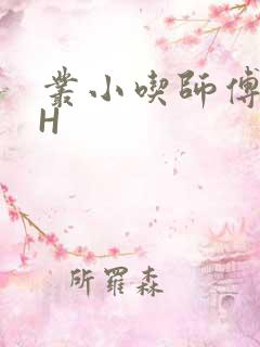 丛小吃师傅的HH