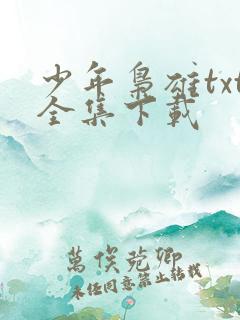 少年枭雄txt全集下载