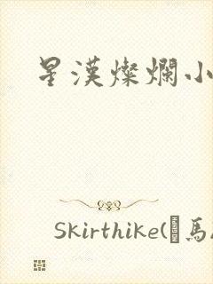 星汉灿烂小说