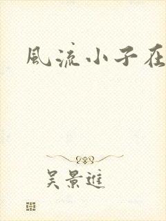 风流小子在异世