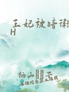 王妃被暗卫肉高H