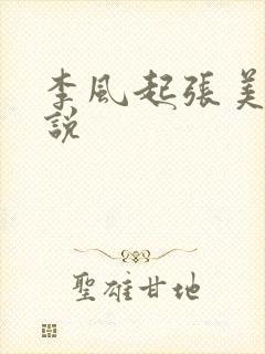 李风起张美丽小说
