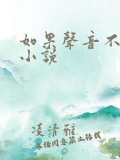 如果声音不记得小说