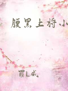 腹黑上将小小妻