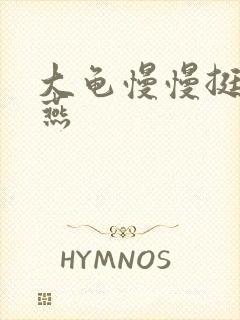 大龟慢慢挺进张燕