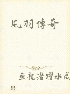风羽传奇
