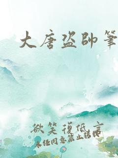 大唐盗帅笔趣阁