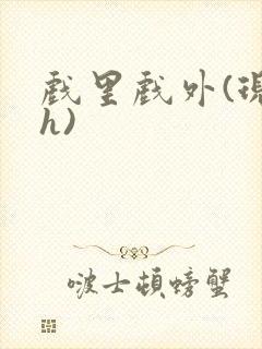 戏里戏外(现场h)