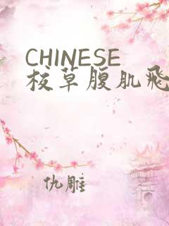 CHINESE校草腹肌飞机视频