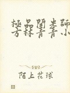 极品开光师李南方林青青小说免费阅读