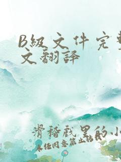 B级文件完整中文翻译