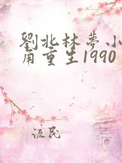 刘北林梦小说主角重生1990