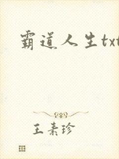 霸道人生txt