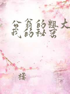公翁的粗大放进我的秘密