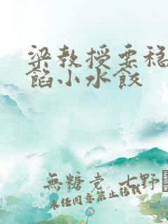 梁教授要稳住肉馅小水饺