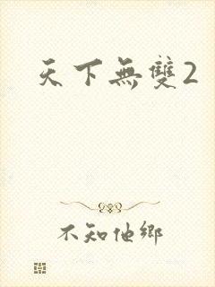 天下无双2