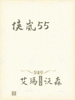 侠岚55