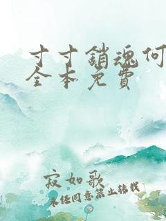 寸寸销魂何生祥全本免费