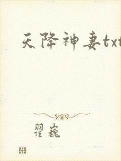 天降神妻txt