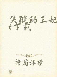 失踪的王妃txt下载