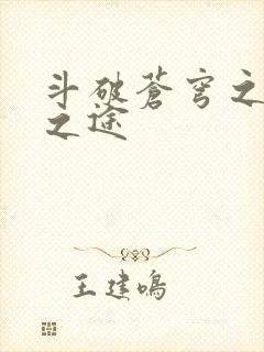 斗破苍穹之王者之途