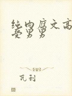 纯肉腐文高H总受男男