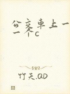 公交车上一个接一个c