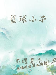 篮球小子