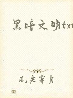 黑暗文明txt