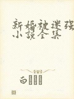 新婚被迷强系列小说全集