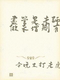 尽管是老师也想做未增删有