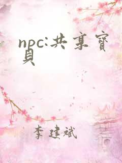 npc:共享宝贝