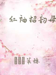 红袖招韵母攻略