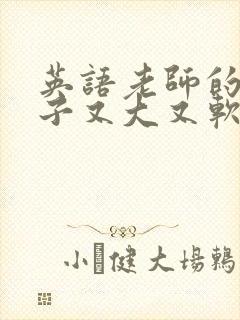 英语老师的小兔子又大又软