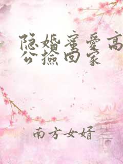 隐婚蜜爱高冷老公捡回家