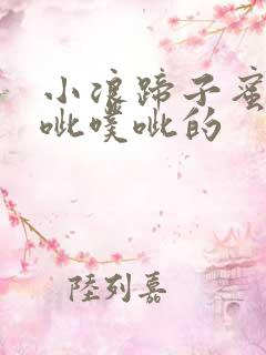 小浪蹄子蜜水噗呲噗呲的