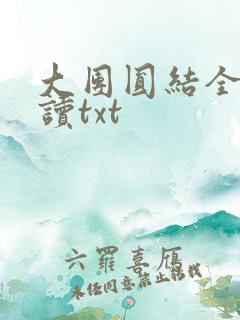 大团圆结全文阅读txt
