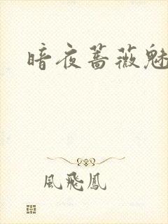 暗夜蔷薇魅