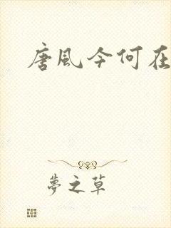 唐风今何在