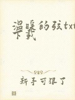 温暖的弦txt下载