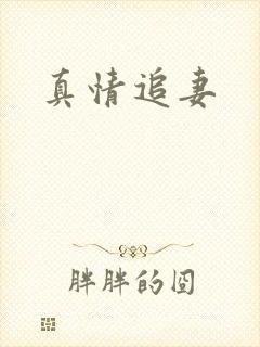 真情追妻